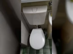 Otpušavanje wc šolje