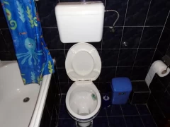 Otpušavanje wc šolje